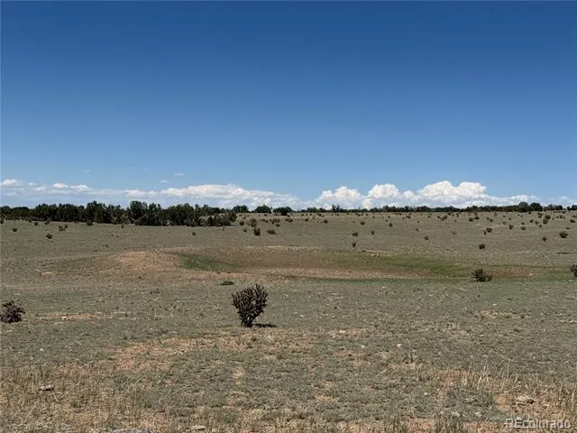 169 Tyrone Hills Walsenburg, CO 81089