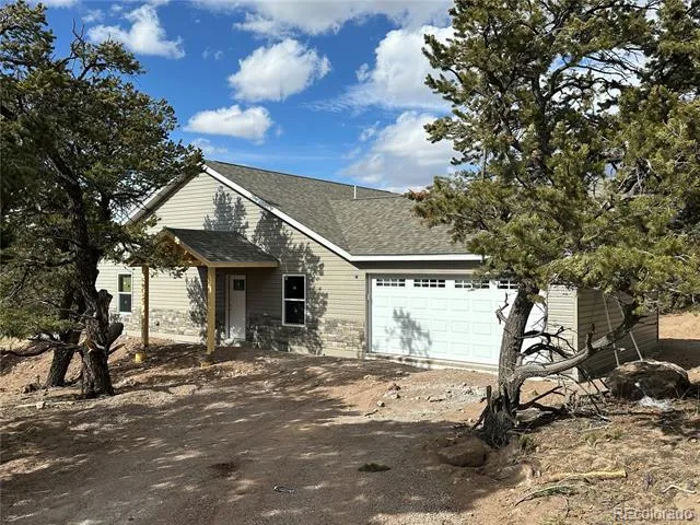 216 Baca Grant Way Crestone, CO 81131