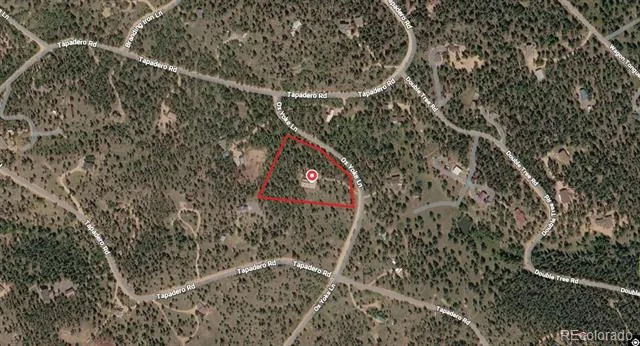 107 Ox Yoke Lane Bailey, CO 80421