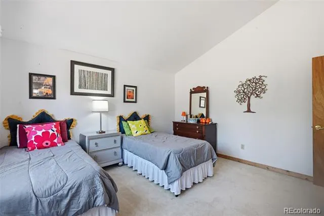 107 Ox Yoke Lane Bailey, CO 80421