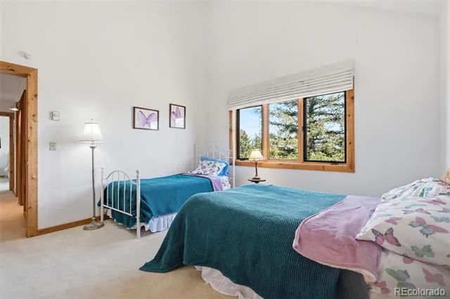 107 Ox Yoke Lane Bailey, CO 80421