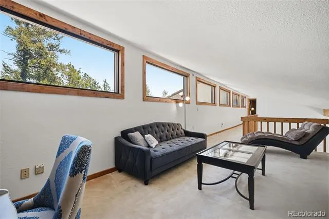 107 Ox Yoke Lane Bailey, CO 80421