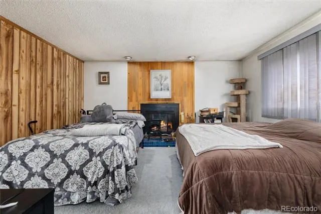 529 Belford Street Frisco, CO 80443