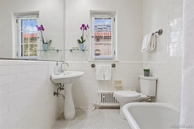 1515 E 9th Avenue #302 Denver, CO 80218