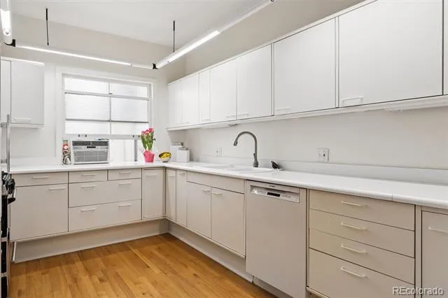 1515 E 9th Avenue #302 Denver, CO 80218