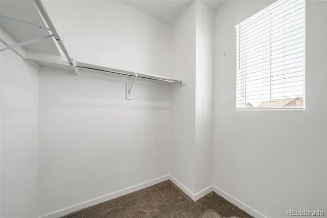 746 Bersshine Court Watkins, CO 80137
