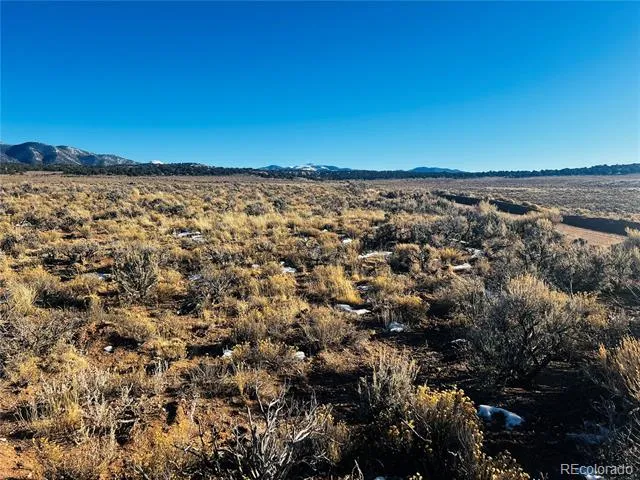 Lots 3504 & 3505 Slaughter Road Fort Garland, CO 81133