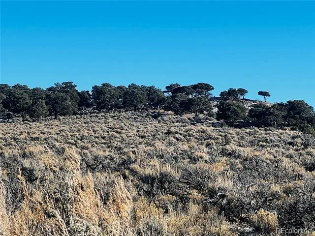 Lots 3504 & 3505 Slaughter Road Fort Garland, CO 81133