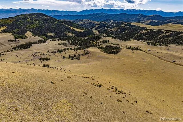 340 Huntley Place Cotopaxi, CO 81223