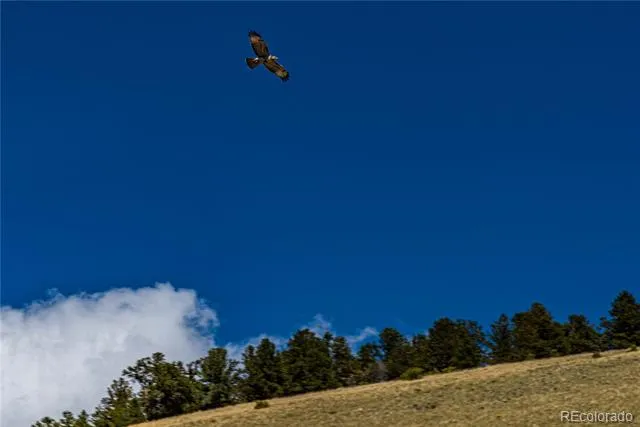 340 Huntley Place Cotopaxi, CO 81223