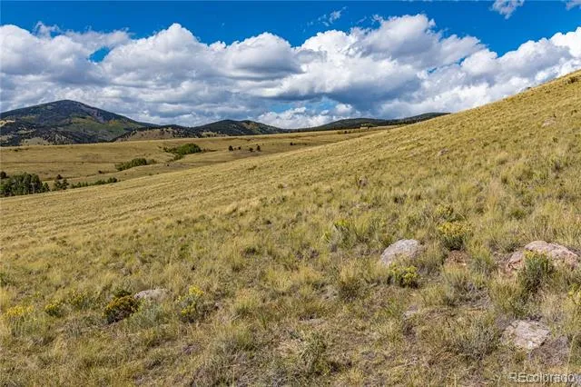 340 Huntley Place Cotopaxi, CO 81223