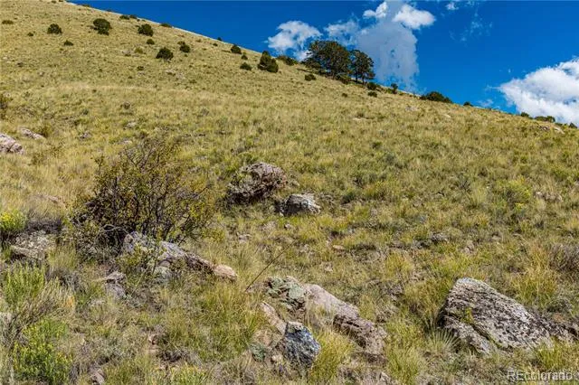 340 Huntley Place Cotopaxi, CO 81223
