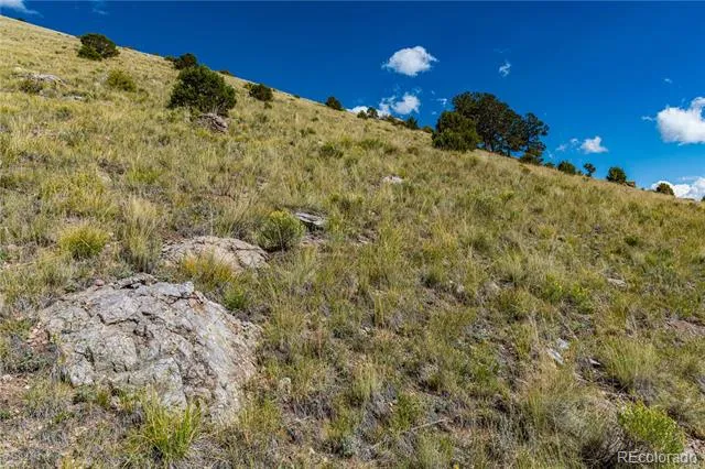 340 Huntley Place Cotopaxi, CO 81223