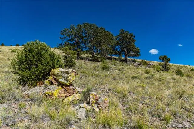 340 Huntley Place Cotopaxi, CO 81223