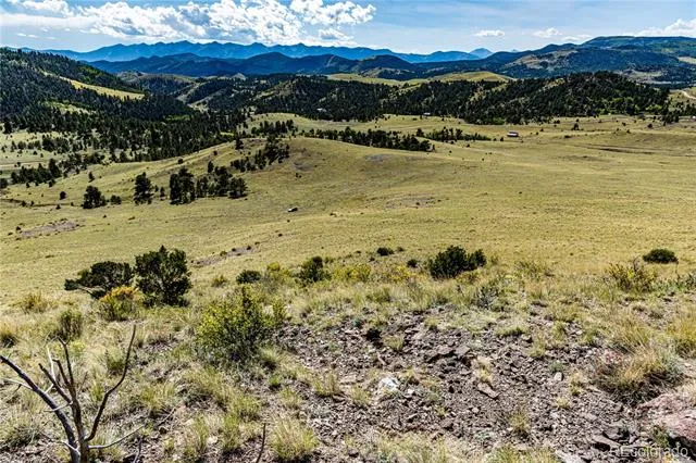 340 Huntley Place Cotopaxi, CO 81223