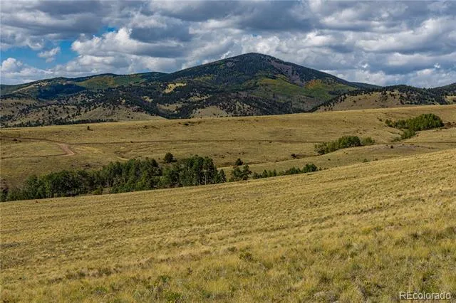 340 Huntley Place Cotopaxi, CO 81223