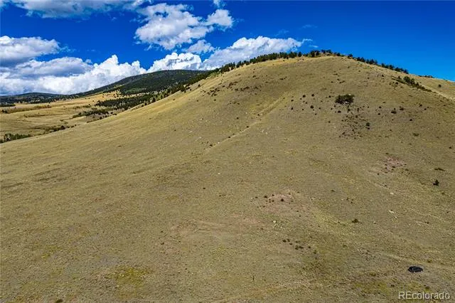 340 Huntley Place Cotopaxi, CO 81223