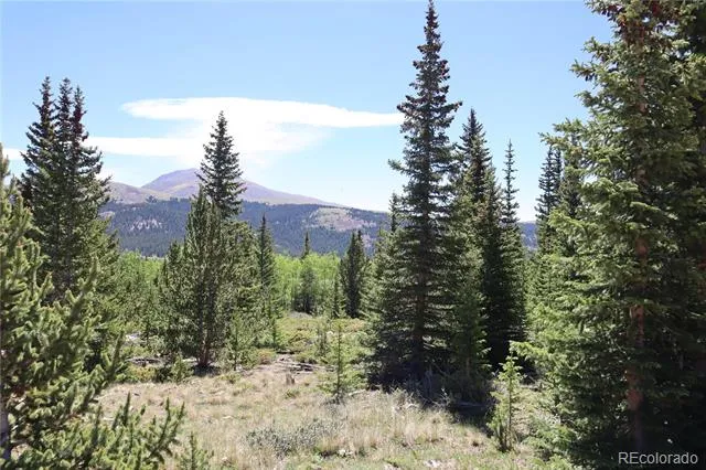 1480 Roberts Road Fairplay, CO 80440