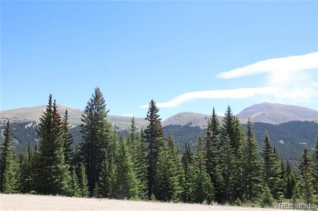 1480 Roberts Road Fairplay, CO 80440