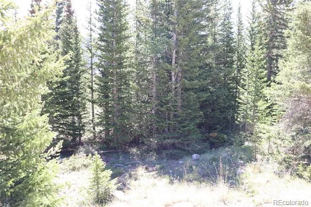 1480 Roberts Road Fairplay, CO 80440
