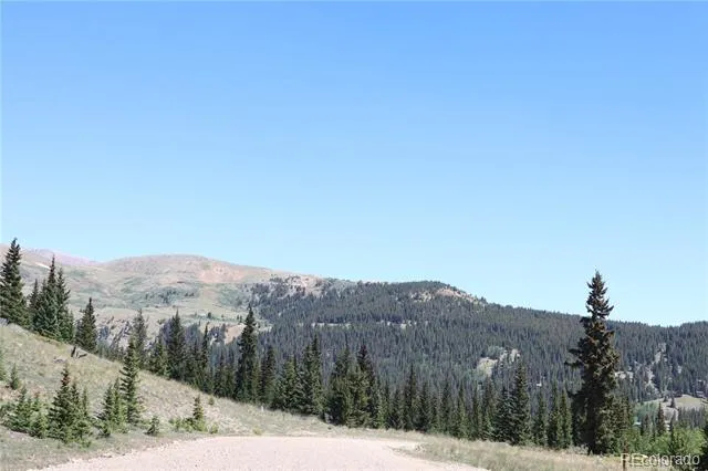 1480 Roberts Road Fairplay, CO 80440