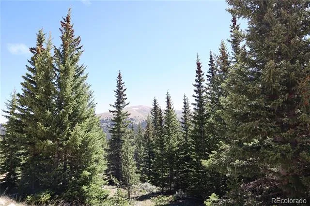 1480 Roberts Road Fairplay, CO 80440