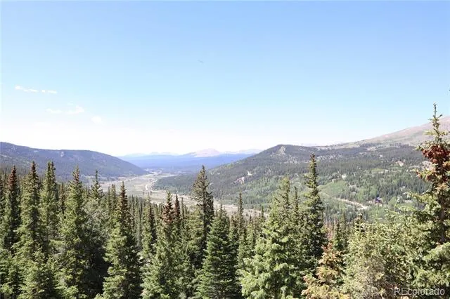 1480 Roberts Road Fairplay, CO 80440