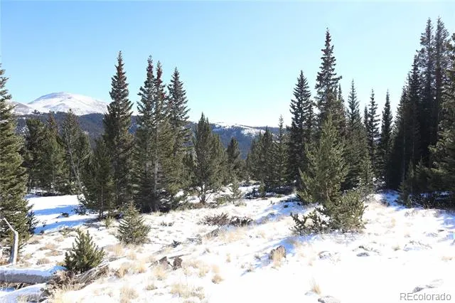 1480 Roberts Road Fairplay, CO 80440