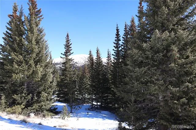 1480 Roberts Road Fairplay, CO 80440