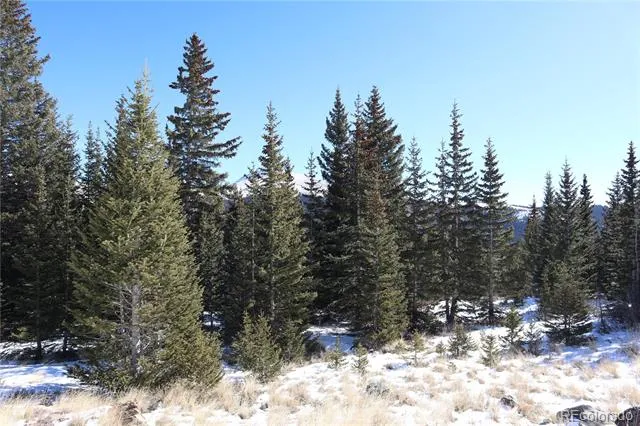 1480 Roberts Road Fairplay, CO 80440