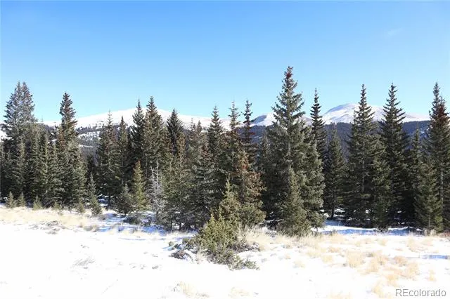 1480 Roberts Road Fairplay, CO 80440