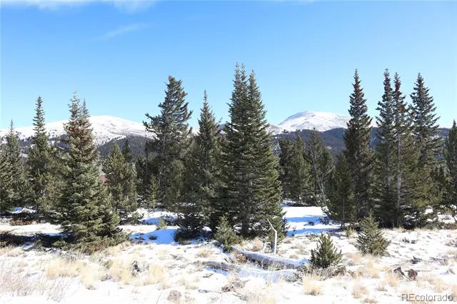 1480 Roberts Road Fairplay, CO 80440