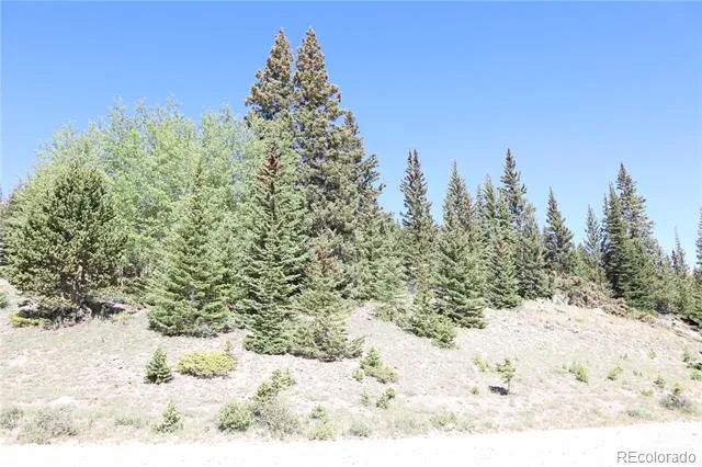 1480 Roberts Road Fairplay, CO 80440
