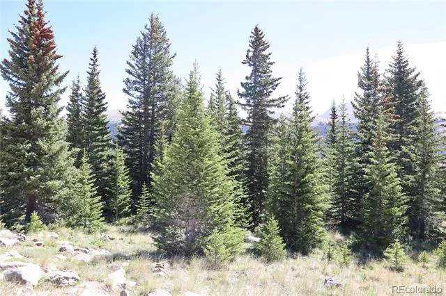1480 Roberts Road Fairplay, CO 80440