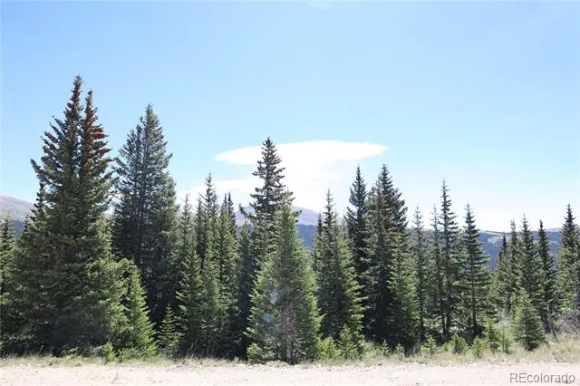 1480 Roberts Road Fairplay, CO 80440