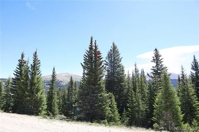 1480 Roberts Road Fairplay, CO 80440