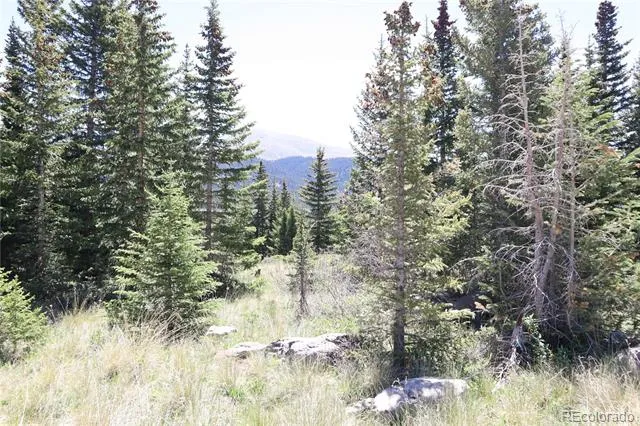 1480 Roberts Road Fairplay, CO 80440