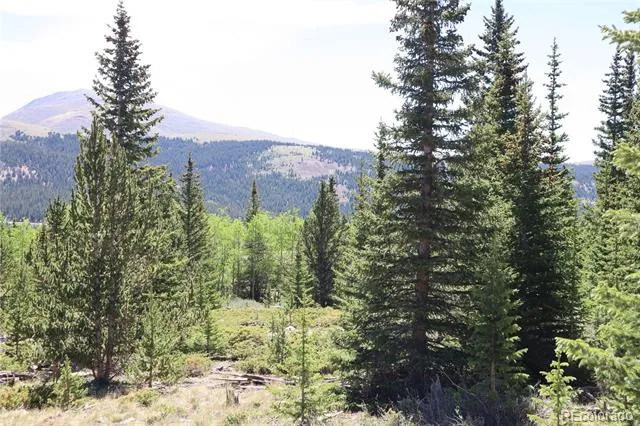 1480 Roberts Road Fairplay, CO 80440