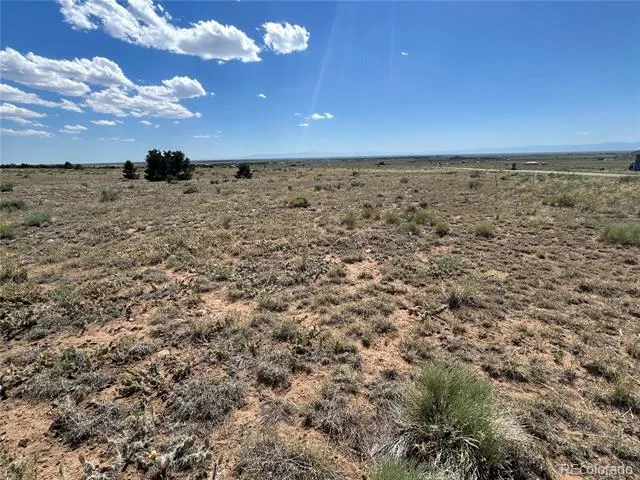 3354 Camino Del Rey Crestone, CO 81131