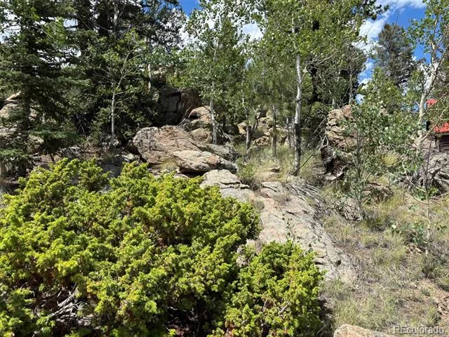 2138 Overland Circle Jefferson, CO 80456