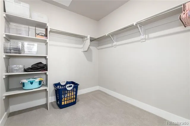 20 Wilcox #503 Castle Rock, CO 80104