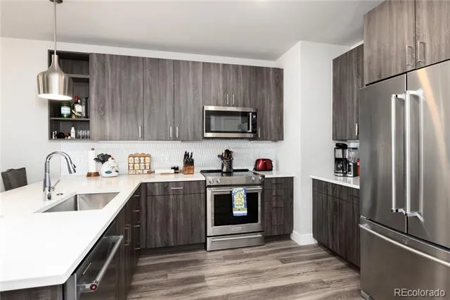 20 Wilcox #503 Castle Rock, CO 80104