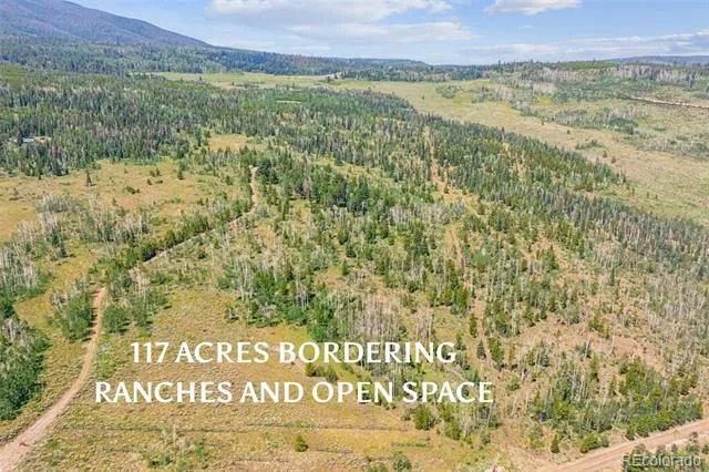 733 Spring Creek Ranch Road Silverthorne, CO 80498