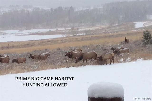 733 Spring Creek Ranch Road Silverthorne, CO 80498