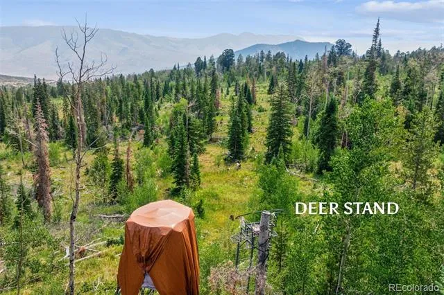 733 Spring Creek Ranch Road Silverthorne, CO 80498