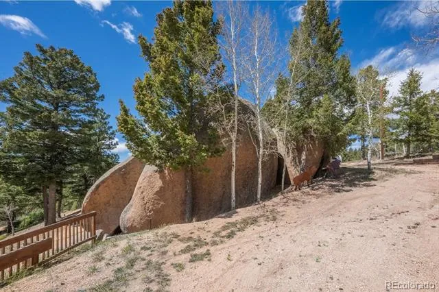 13939 Forest Lane Larkspur, CO 80118