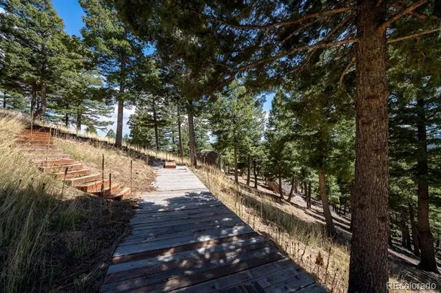 13939 Forest Lane Larkspur, CO 80118