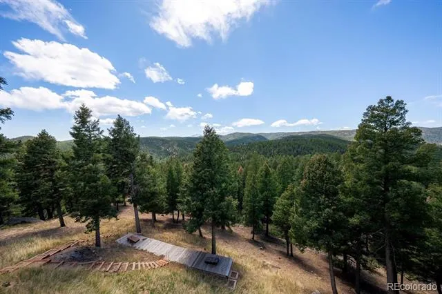 13939 Forest Lane Larkspur, CO 80118