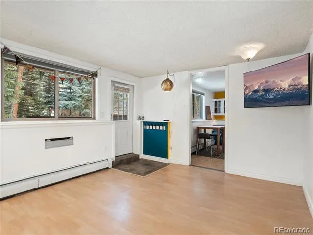 550 S French Street #G1 Breckenridge, CO 80424