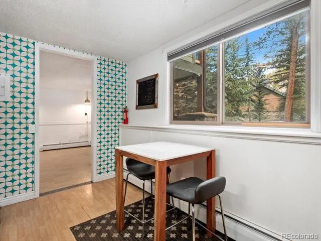 550 S French Street #G1 Breckenridge, CO 80424